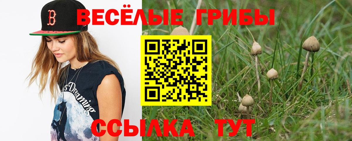 Галлюциногенные грибы мицелий Бор