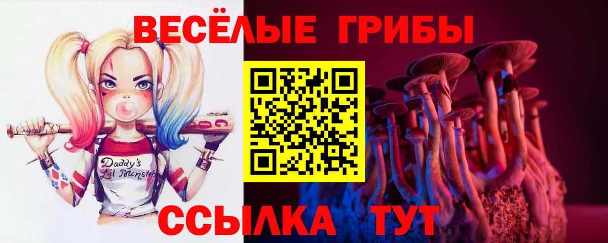 Бор  Псилоцибиновые грибы мицелий  Вход с VPN 